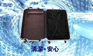 内装を外して洗えるスーツケース