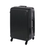 当日出荷 ヒロイック シエスタ 大サイズ ヘアラインガンメタ (ExPress +500円) - 画像 (3)