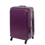 当日出荷 ヒロイック シエスタ 大サイズ ヘアラインパープル (ExPress +500円) - 画像 (3)