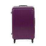 当日出荷 ヒロイック シエスタ 大サイズ ヘアラインパープル (ExPress +500円) - 画像 (2)