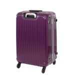 当日出荷 ヒロイック シエスタ 大サイズ ヘアラインパープル (ExPress +500円) - 画像 (4)