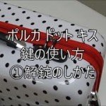 GUESSポルカドットtsaロック鍵の使い方
