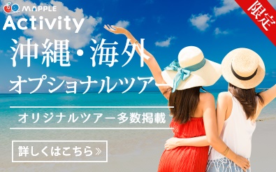 MAPPLEアクティビティ